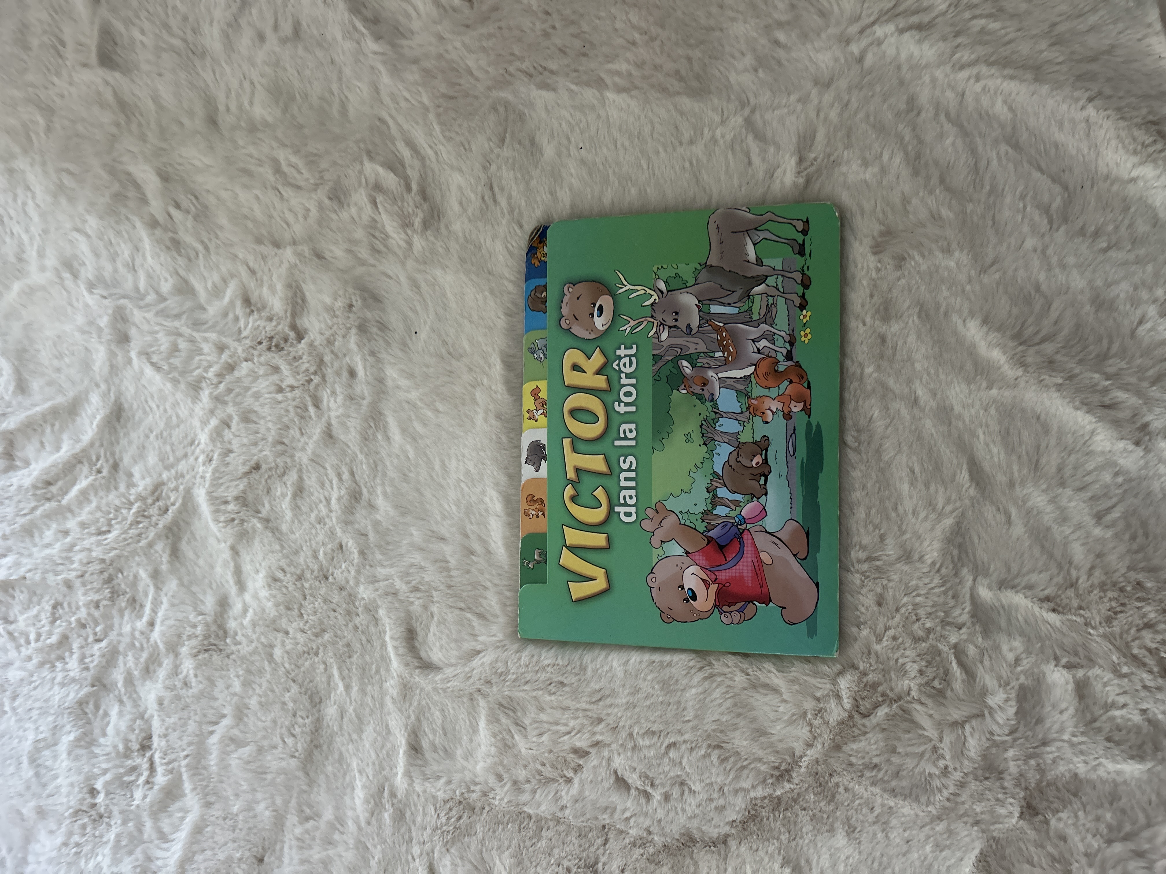 Livre pour enfant 