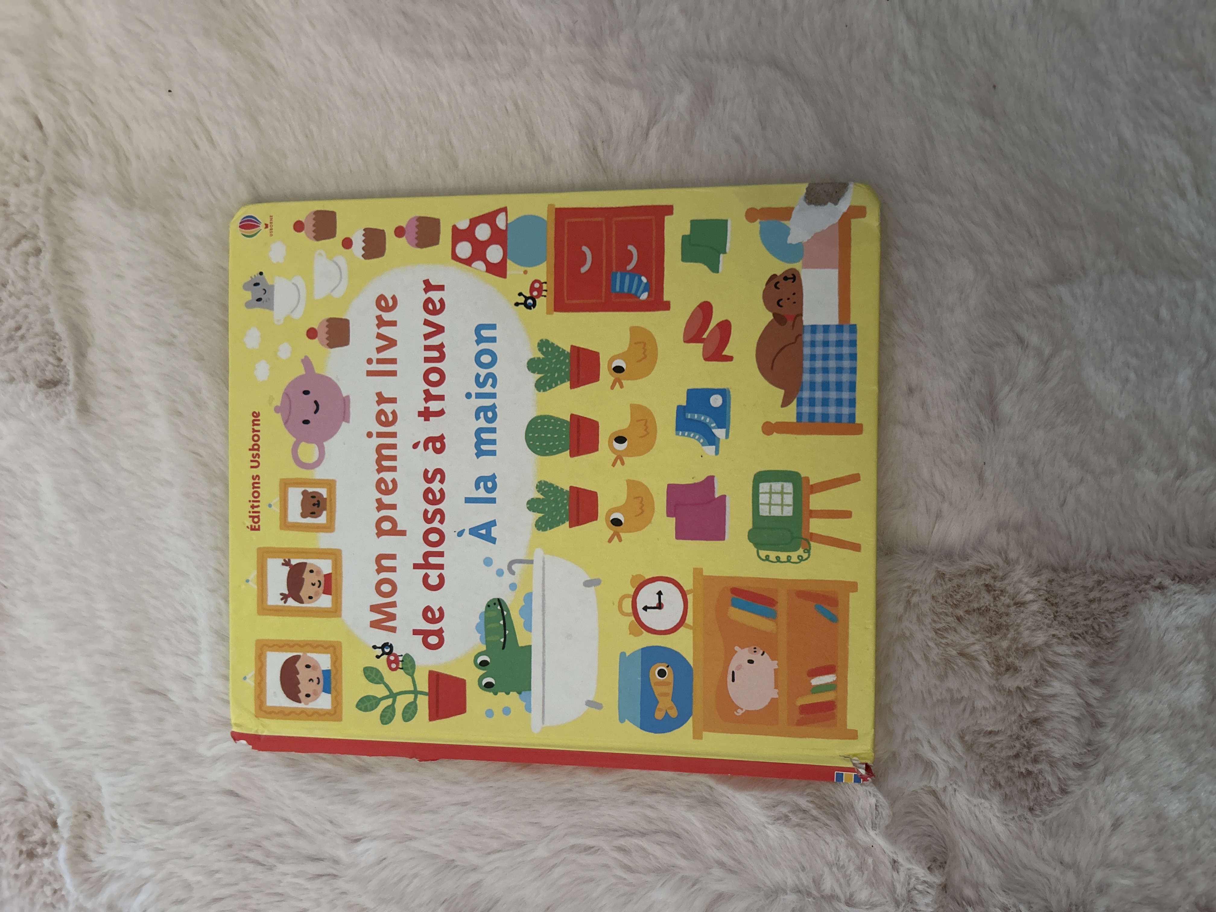 Livre pour enfants 