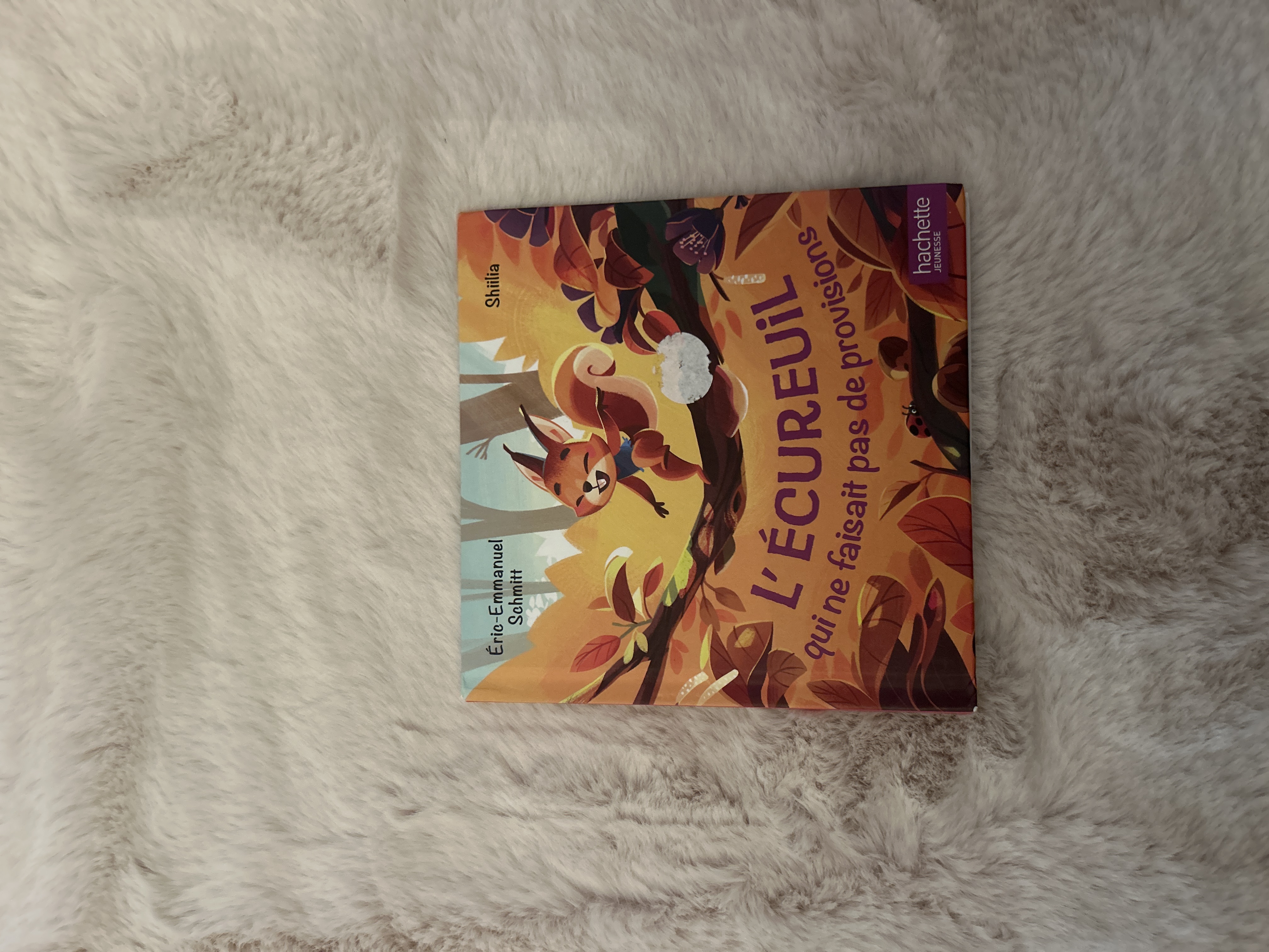 Livre pour enfant 